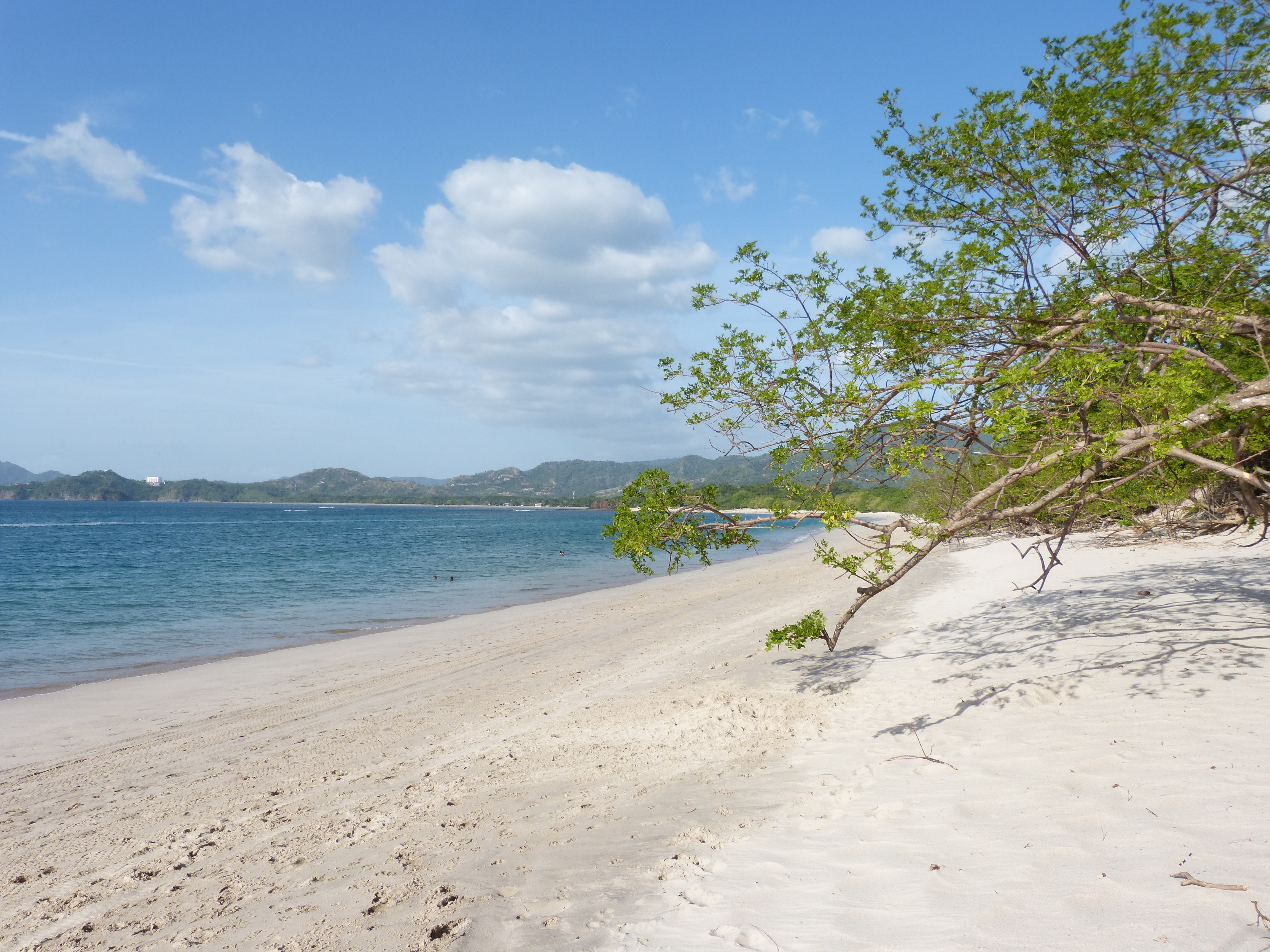 Vaste plage de sable blanc, un paysage typique du Costa Rica.